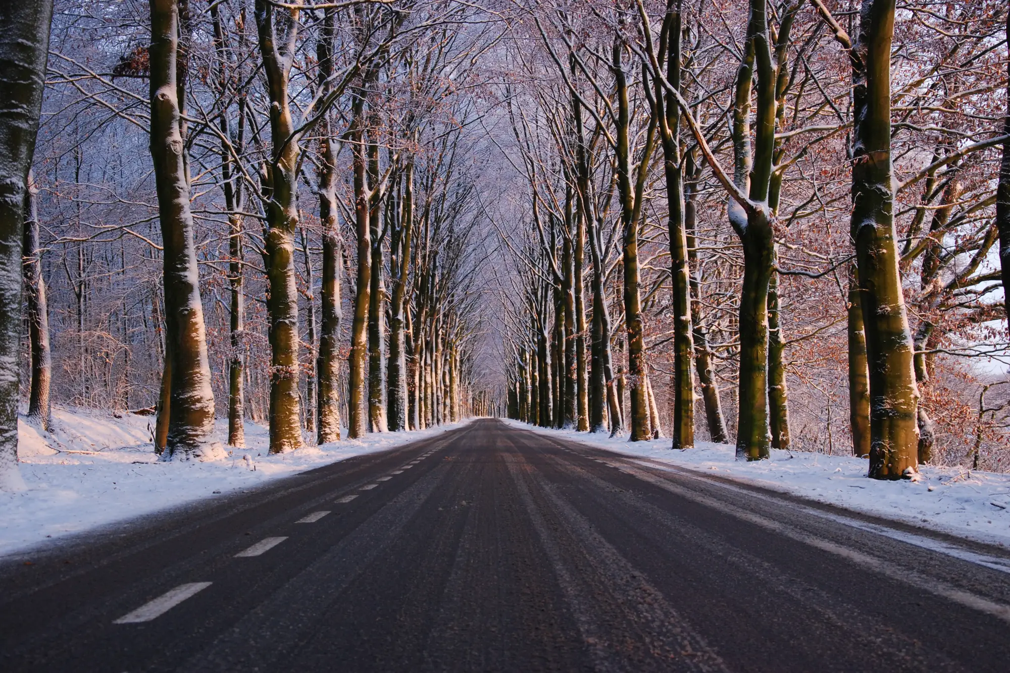 Road under the winter freeze-thaw cycle
